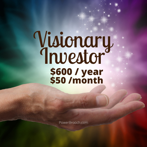 Level 5 Visionary Investors